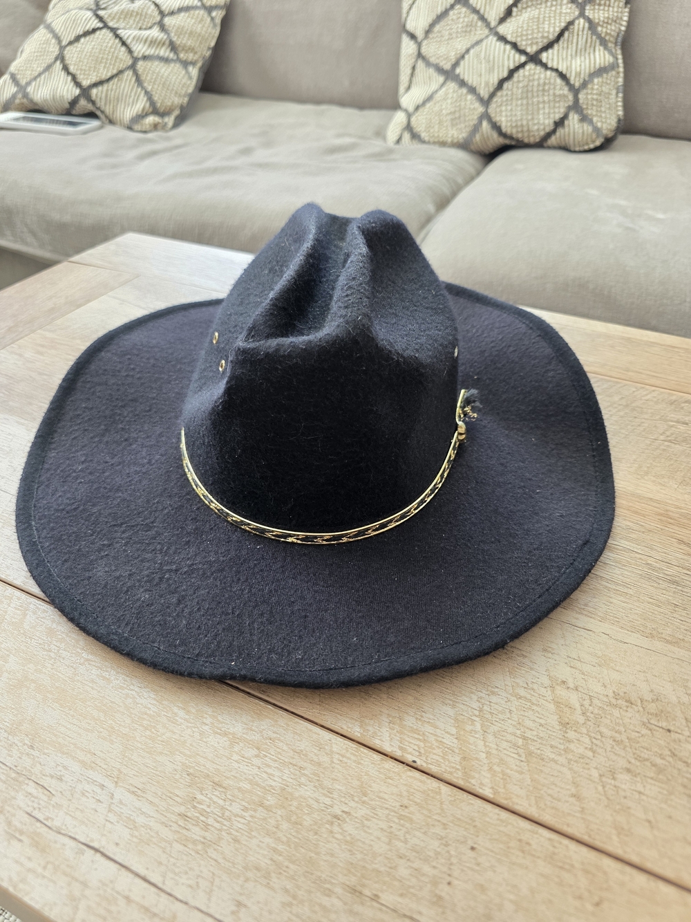 Western Express Black Felt Cowboy Hat Gold Band Western Rodeo - Picture 2 of 5